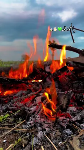 ﮼الحمدلله#تصويري📸 #اكسبلورexplore #اكسبلور #fyp #جرناس_البجاري 