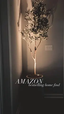 Still one of my FAVORITE  . . Amazon home finds! These wireless battery operated spotlights are such an easy way to elevate the look of your home & make your indoor plants look sexy 😜 ✨Linked in my Amazon storefront — just click the link in my bio! #throwback #flashbackfriday #amazon #amazonfinds #amazonaffiliate #founditonamazon #interiordesign #homefinds #neutralhome #neutraldecor #affordabledecor #entrywaystyling #livingroominspo #fauxtree #indooruplighting #picturespotlight