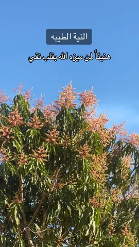 #نجران #نجران_الان #نجران_يام #النية_الطيبة #النية #النية الطيبة #القلب النقي #دعاء_يريح_القلوب #دعاء_جميل #دعاء_يوم_الجمعه #دعاء#دعاء_الصباح #دعاء_مستجاب #دعاء_كميل #دعاء  @أم خالد  @نبع الوفاء  @نبع الوفاء 