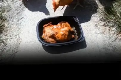 #explore #explore #explore #explore #لاالەالااللە_محمد_رسول_الله🤲🏻🖤 #الهم_صلي_على_محمد_وأل_محمد❤❤❤❤ 