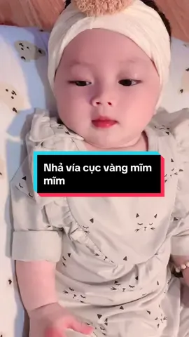 Nhả vía cục vàng mũm mĩm 🥰🥰 #xuhuong #cutebaby #baby #embe #babylove #embedangyeu #embecuame #meovang2023 #fypシ #xuhuongtiktok 