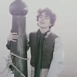 i adore his hair • scp ; jcqscenes #scarletlvl #timotheechalamet #wonka #timotheechalametedit #fyp #wonkaedit #edit 