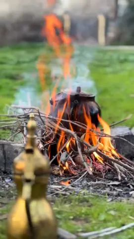 صلفات العيون بس جفاك يكسرهن وانت الوحيد الذي ينباح لك سرهن هجرك وبعدك جمالك دوم يكسرهن يكتلني مرك واگولن لك حلو منت مر حنضل واحسك شهد چنك صرت من تمر خايف ع الضلوع من هذا الگلب من تمر خايف دليلي بحدا الدگات يكسرهن #مشاعر#مالك_الحزين 