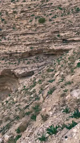 #ذيبان_العز_بني_حميدة_المجيدة👑✌🇯🇴 #المملكه_الاردنيه_الهاشميه🇯🇴 #مادبا #سد_الوالة #تقول_حمده_من_حر_ما_جرابها 