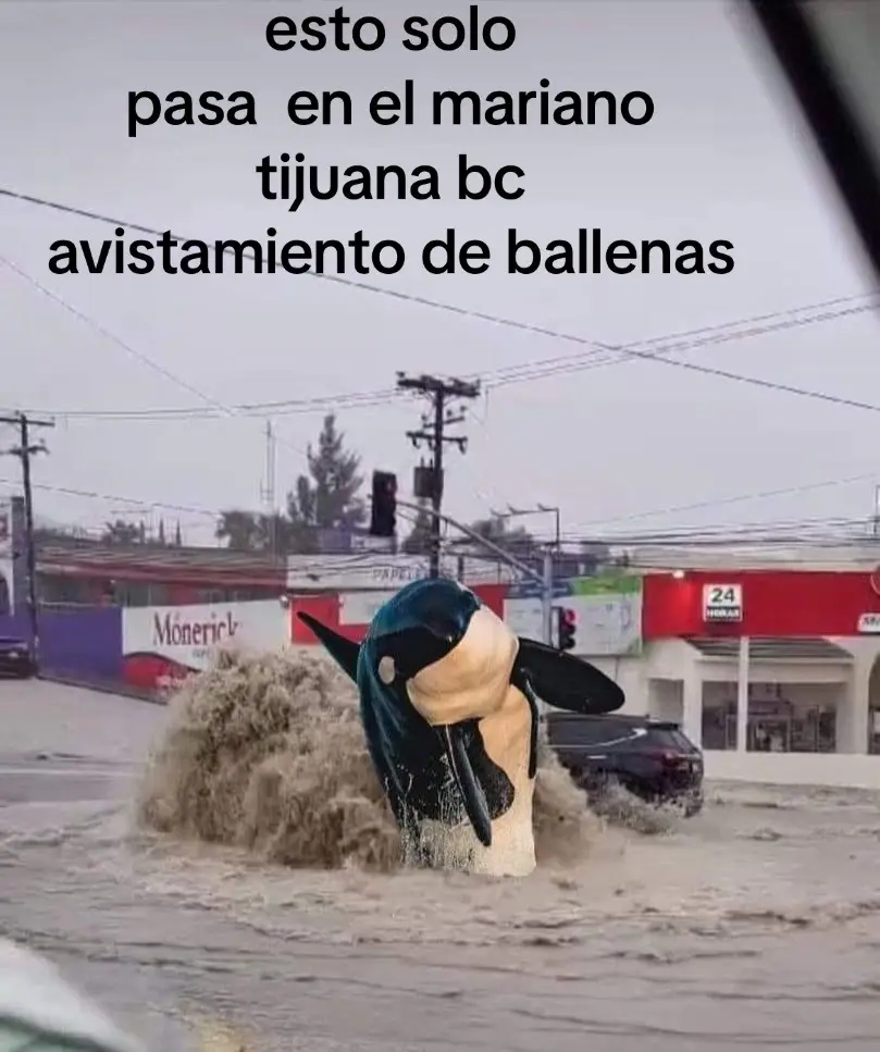 #Mana #rutaindependencia @marianomatamoros #tijuanabc🇲🇽  #zonaeste #marinadelpilar #monserratcaballero #deudapagadaentijuana #inundaciones2024 #22deenero #viral 