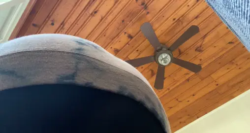 Toootttt #fartinggirl #girlfarts #fartsarefunny💨 #girlfart #fartprincess #foryou #foryourpage #fart #fartsarefunny #stink #oops 