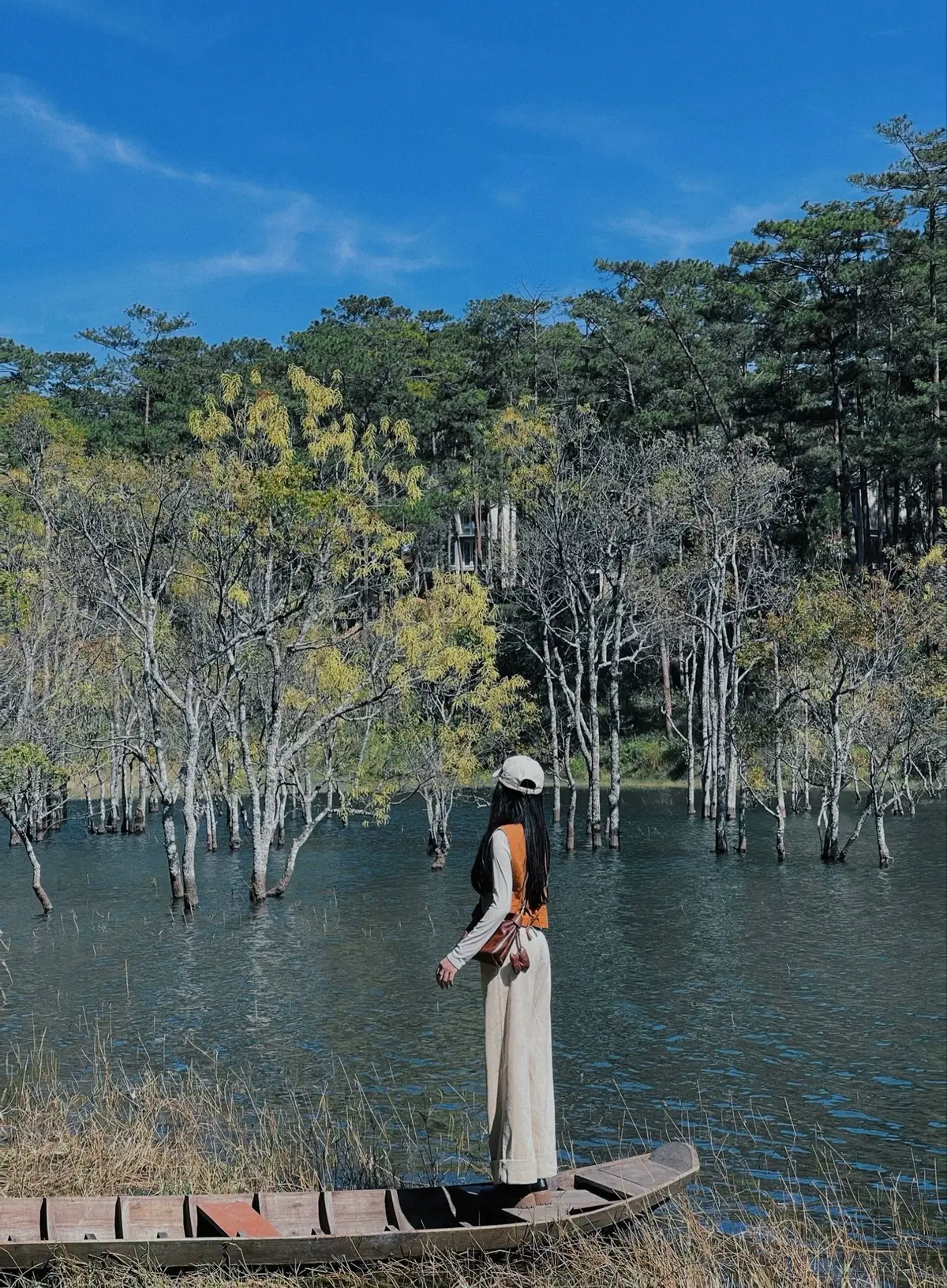 SUỐI TÍA ĐÀ LẠT 🍃 #dalat #fypシ #travel #viral 