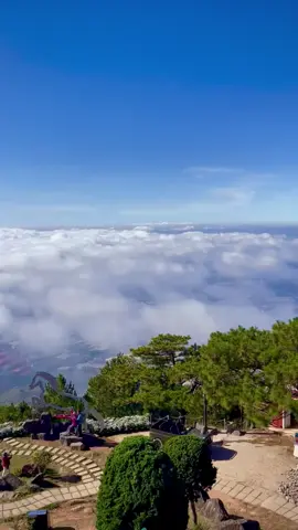 Biển mây bồng bềnh những ngày đầu năm tại Langbiang - Đà Lạt #dalat #dalattourist #sanmay #travel