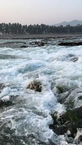 Kho ta ee da 1 ghat socha sara tera ka 🤍💫🙂#foryou #forypage #naveed__khan20 #1millionaudition #fypシ゚viral #nangrhar #swithtosmart #fypシ゚viral🖤tiktok☆♡🦋myvideo🤗foryou✨♥️_ #تاجګ۔پشتون۔هزاره۔ازبک۔۔یک۔افغانستان #اکسبلورررررررررررررررررررر❤🧸 #سبحان_الله_وبحمده_سبحان_الله_العظيم #afghanistan🇦🇫 #allahuakbar #forypageage #rahimsediqi46 #rashidmiftahi #salmankhan #salman_squad #shahidanwer 