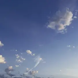 Finding beauty in the small things… #nature #sky #flower #landscape  #theartofnoticing #sea #naturetiktok #landscape #aesthetic #CapCut #foryou #fyp 