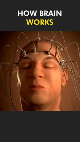 Working of human brain with 3d animation #humanbrain #howbrainworks #workingofbrain #brain  #structureandfunction  #medicalworld #medicalprocedure #medical3danimation #3dmedicalanimation 