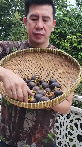 banyak sekali manfaat extrak kulit manggis bagi kesehatan.. termasuk untuk menambah vitalitas tubuh saat ehem ehem.. #manggis #tiktokindonesia #fyp #foryoupage 
