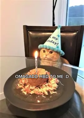 #hbdtome #pibesdeytome #happybirthdaytome #foryoupage 