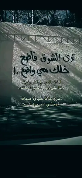 #اتخيلك_واسهر_مع_طيوفك