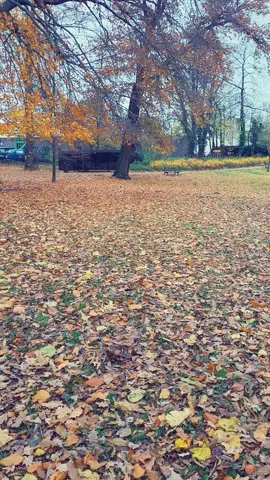 #beljum🇧🇪 #tiktok #dep23♥️ 