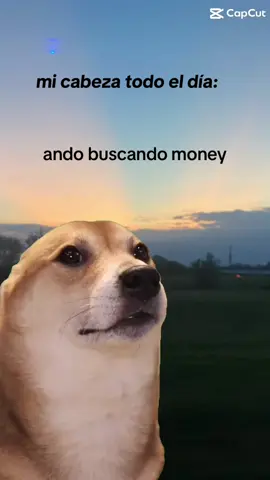 traguito de gintonicccc #andobuscandomoney #gintonic #parati #trendingvideo #fyp #Summer 