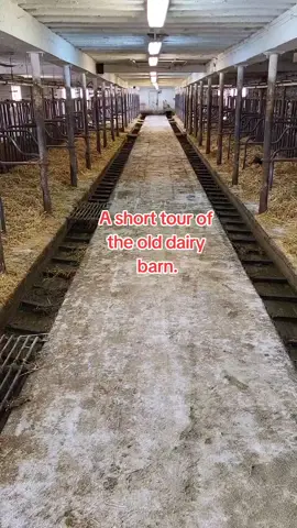 The old dairy barn that was built in the 1800s and added on several times thats still being used! #dairyfarmer #farmer #dairy #cattle #familyfarm #Holstein #barn #agriculture #farmtok 