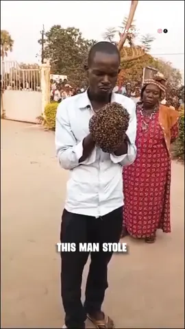 The Man Arrested By Bees #bee #uganda #nigeriantiktok #africantiktok #ucheolisa 
