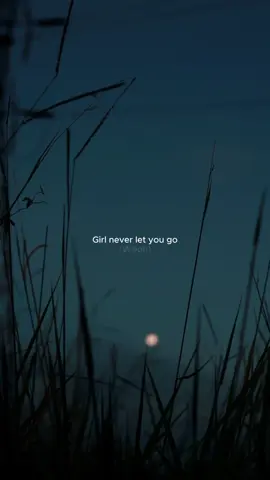 Girl never let you go... #justinbieber #letmeloveyou #slowedsongs