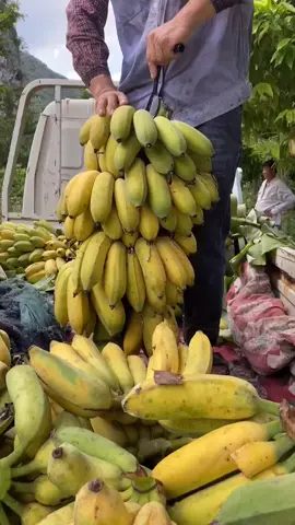 Beautiful Bananas 🍌 #sweet #delicious 