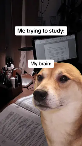 🤣😂 #study #exam #meme #brain #foryou #fyp #capcut 