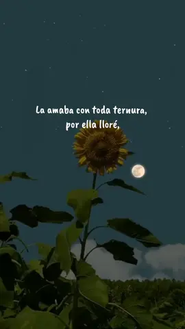 La Toquilla - La bocina #latoquilla #latoquilla🇪🇨 #ecuador #ecuador🇪🇨 #music #musicvideo #lyrics #lyricsvideo #paisajes #fyp