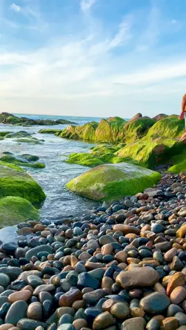 Việt Nam mình đẹp lắm..!💓 Mùa rêu Cổ Thachj, cách bến tàu đi 