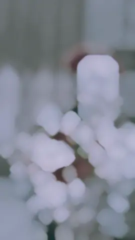 #ايوشه_ayosh #اكسبلورexplore #fyp #الحب_الكذبة #اعلان 