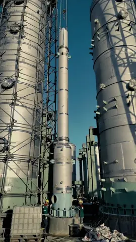 #storykuli #fypdongggggggg #PRI #tarakanpunyacerita #PTPhoenixResourcesInternasional 