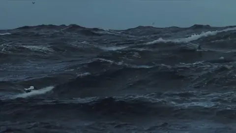 Có một vài người, một khi đã bỏ lỡ, chính là bỏ lỡ cả đời, Không còn liên lạc, cũng không ai làm phiền đến cuộc sống của ai, đến cả đôi lời hỏi thăm nhau cũng không nói được ... Trưởng thành chính là như vậy, không ngừng gặp gỡ, cũng không ngừng chia ly, Mãi về sau tôi mới biết được, Lỡ chuyến xe này, có thể chờ chuyến xe khác . Nhưng nếu bạn bỏ qua sự chân thành của một người, thì tôi dám cá rằng cả đời này bạn sẽ không bao giờ gặp lại người đó nữa ..