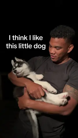 it was love at first sight #dogadoption #dogdad #puppy #puppydog 