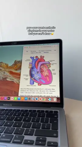 pov : you want aesthetic notes but you can’t draw 🥲 AD using the munbyn portable A4 printer @MUNBYN_UK #munbyn #munbynpartner  🏷️ : #studytok #study #portableprinter #notes #studygram #studyblr #studymotivation #studying #studynotes #school #student #year10 #year11 #gcses #alevels #student #studytime #studytips #exams #studentlife #viral #explore #year13 #notetaking#studygrammer #studynotes #studyvlog #productivity  #studenttips #examhacks #studentmotivation #grades 