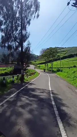 boleh di save, jgn lupa follow @Lestariistore jangan lupa di like 🥰 #cangar #cangarbatu #cangarpacetmojokerto #cangarbatumalang #prank #prankvideo #mieayam #ngopi #hawadingin #traveling #travellife #traveltiktok #travel #vidiomentahan #mentahan #mentahanvideo 