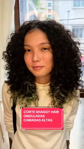 shaggy hair pras onduladas de plantão, gostou ? #finalizaçãocachos #cabelocolorido #byviegas #shaggyhair 