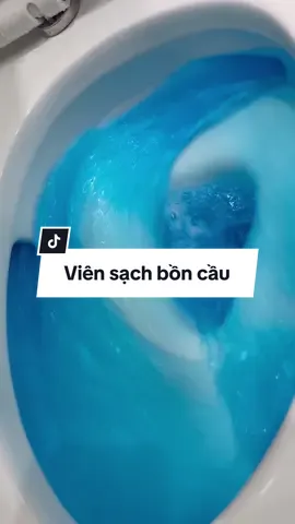Giúp bồn cầu thơm tho sạch sẽ mà còn có màu nước đẹp nữa chứ #baovudayreview #LearnOnTikTok #vienthaboncau #xuhuong 