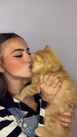 بوسة😘🐈#بنت_تيشيرتات_الكورة 