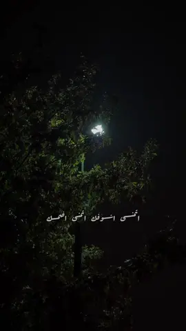 حبيبي بگـلــبي نار وحدي ضليت  تخيلتك تجيني ليش ما جيت حـ ـرام تريد تحرم عيني منــك  اتمنــى اشــوفك واتمنى اضمــك يمتى تعود ياعمــري اليه  اذا تحبني صدك جاوب عليــه  . . . #هيثم_يوسف #اذا_تحبني_صدك  #حامد_الغرباوي #احمد_حداد  #انس_حداد #اغاني_عراقيه  #بس_خليني_اسمع_صوتك_ارتاح   #اذا_تحبني_صدك_جاوب_علية  #هيثم_يوسف_اذا_تحبني_صدك_جاوب_عليه #اغاني_عراقية #امير_الحب  #امير_الحب_هيثم_يوسف #محتاجك  #تصاميم_اغاني_عراقيه #الزعل 