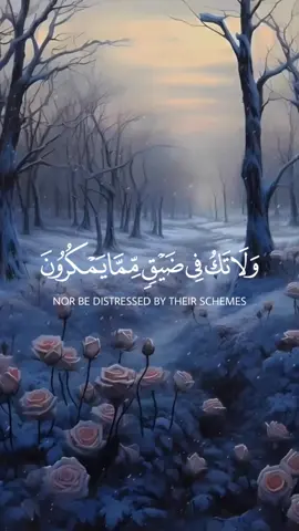 #CapCut  وأصبر  وما صبرك الا بالله ولا تحزن عليهم #واصبرو_ماصبرك_الا_بالله  #القران_الكريم  #القران_الكريم_راحه_نفسية😍🕋  #capcuttemplate  #ارح_سمعك_بالقران  #قوالب_كاب_كات 