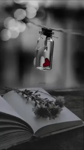 صامتون وقلوبنا فيها ألف حكاية وحكاية..!🥀