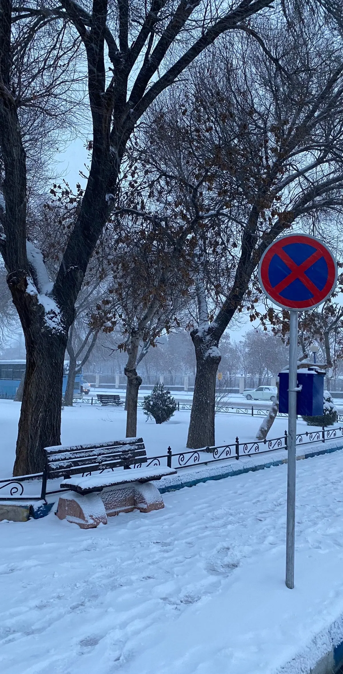 #تبريز #رامسر #جالوس #ايران #2024 #اجميلة #الشرقاط #ثلج 