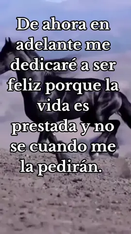 #isabellafrasesmotivadoras🦋💫 #frasesmotivadoras #rolitasparadedicar 