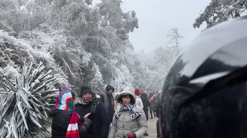 Săn tuyết thành công tại Đỉnh Mẫu Sơn❄️ #dinhmauson #tiktok #xuhuongtiktok 