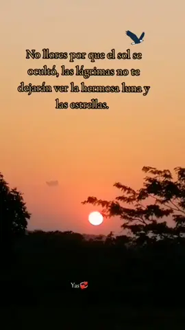 Hoy se ha roto un juramento porque yo pensaba.. 🎶 #enparatiii🥰😍 #Vallenato #romantico #clasico #colombia🇨🇴️💞🍃 #Viral #fyp 