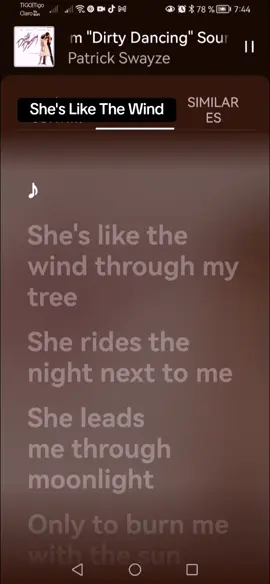 #trejomusicbox #lyrics_songs #algomás🌹  Part 146. She's Like The Wind - Patrick Swayze 