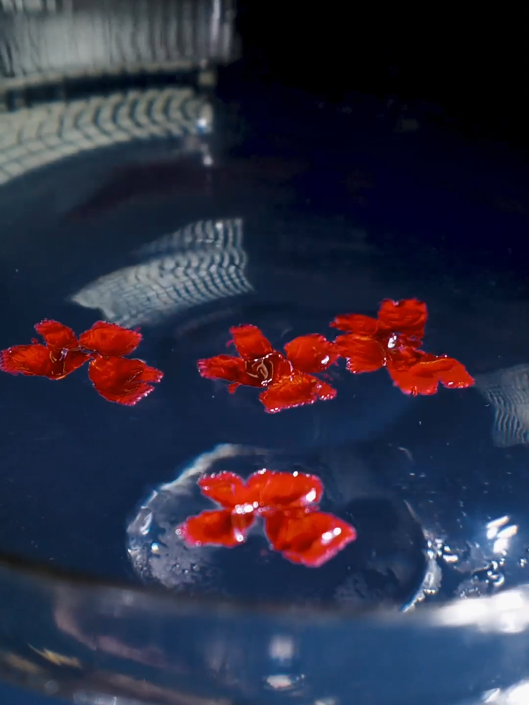 The flower experiment was especially a fun one to do! #Experiment  #Physics  #ParisFashionWeek