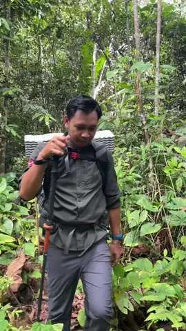 Full video pendakian Gunung Bondang sudah tayang di youtube yaa..mari mampir. #gunungbondang #kalimantan 