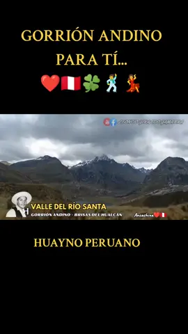 #estados #viral #huaynosperuanos🇵🇪 #AncashinaDeCorazon #GorrionAndino🥲 #👏✍️ 