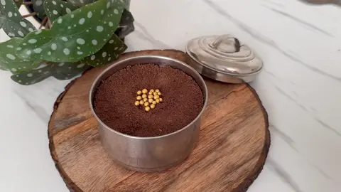 Only 4 Ingredient Chocolate Dream Cake On Tawa - No Cream, No Mould, Kadai, Eggs Easy Chocolate Cake #cookingrecipes  #fyp  #LearnOnTikTok