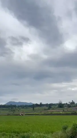 Silakan di isi kata- kata di kolom komentar.. #video #videomentahan #videokosong #katakata 