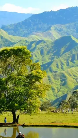 Connecting with nature. picture perfect landscape of Communal Ranch 🏞️ Bukidnon. #adventure #nature #mountains #communalranch #bukidnon #fyp #trending #reels  #pastlives  #naturelover #naturetrip #travel #tourism #lovethephilippines #mindanao #zyxcba  #impasugongbukidnon #ranch #naturehealingvibes  #CapCut 